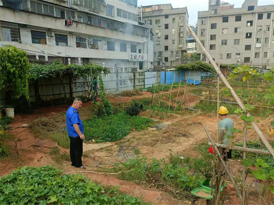 寶塔街道及時有效制止多起露天焚燒事件