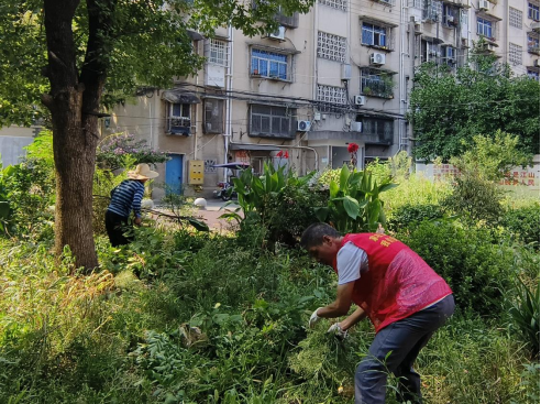 板塘社區(qū)：聯(lián)點共建聚合力 除草護綠換新顏