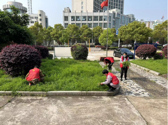 霞城村多舉措提升人居環(huán)境 構建美麗鄉(xiāng)村