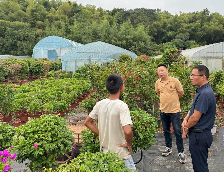 區(qū)農業(yè)農村局深入紅旗村調研鄉(xiāng)村振興工作