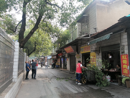 泗神廟社區(qū)修剪樹枝 消除安全隱患