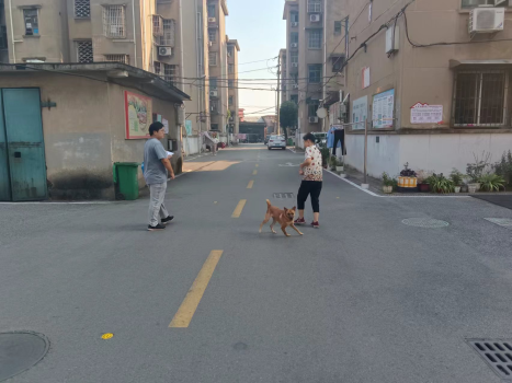 鐵園社區(qū)：文明養(yǎng)犬 共建美好和諧家園