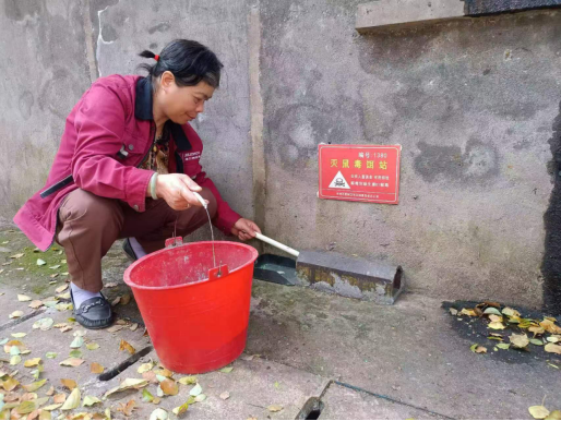 牡丹社區(qū)：預(yù)防病媒生物 筑牢健康防線