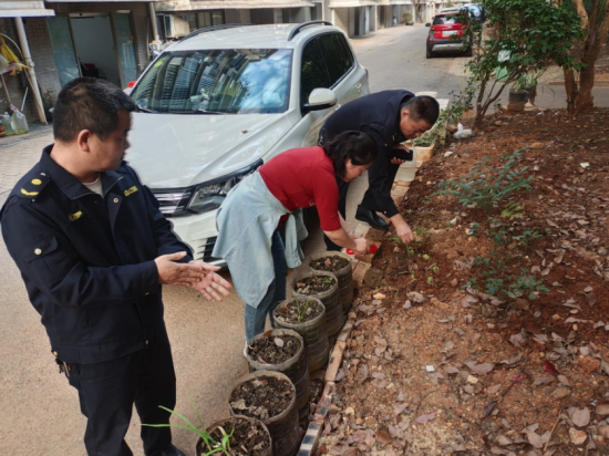 寶塔社區(qū)：清理違規(guī)菜地 凈化居住環(huán)境