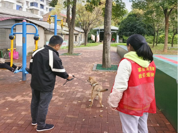 板塘社區(qū)：牽好手中“繩” 文明不掉“鏈”