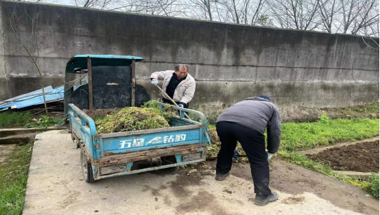 下摄司村：秸秆清运与环境整治协同发力