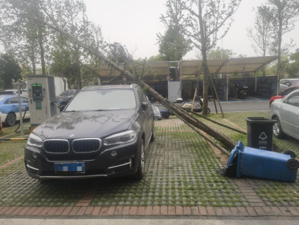 便民熱線︱紅旗社區(qū)：樹木倒伏砸壞車輛 多方協(xié)調(diào)化解糾紛