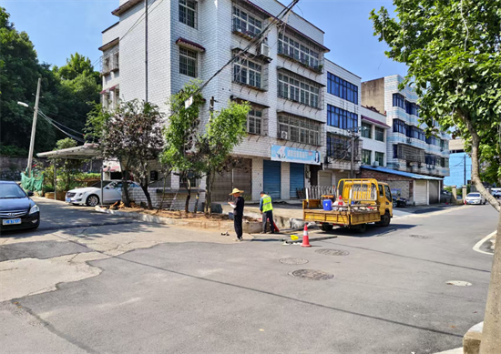 寶塔社區(qū)：安全警示“小標(biāo)識”托起路口“大安全”