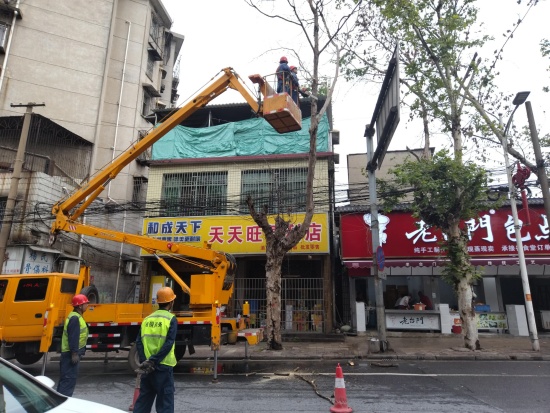 大板房社區(qū)聯(lián)合湘鋼快速處置枯樹隱患