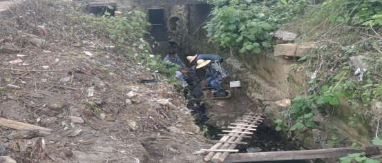 下摄司村及时清理水沟 保障夏季菜地排涝安全