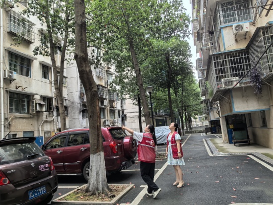 瓦窯塘社區(qū)扎實開展巡防工作 筑牢安全屏障