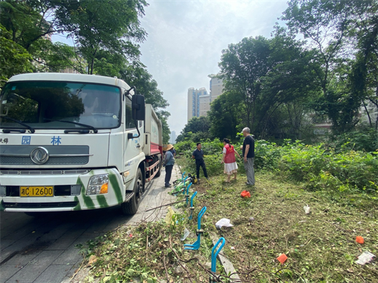 我愛湘潭我的家 人大代表獻(xiàn)力量丨寶塔街道：為民解憂辦實(shí)事 人大代表顯擔(dān)當(dāng)