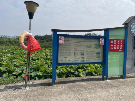 阳塘村：增设救生设备 筑牢防溺水安全防线