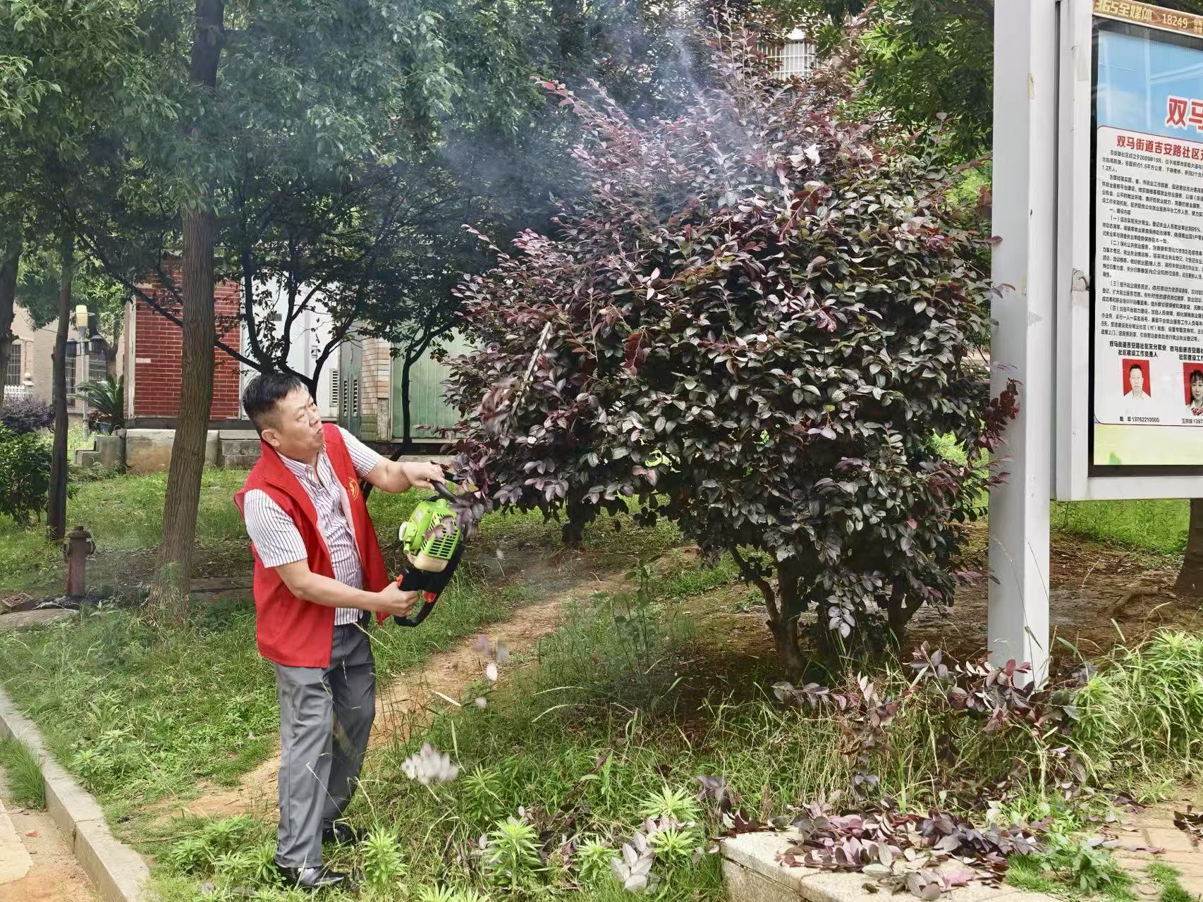 吉安路社區(qū)：“三聽三問”解民憂  綠化“美顏”惠民生
