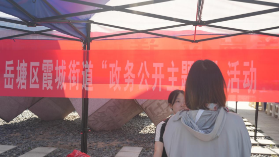 霞城街道開展“政務(wù)公開主題日”活動(dòng)