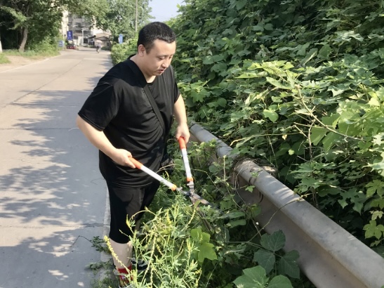馬家河社區(qū)：鄰里齊心砍青忙 煥新居民出行路