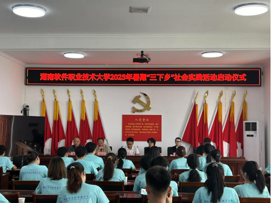 湖南軟件職業(yè)大學“螢火筑夢團”走進板塘街道新農(nóng)村開啟“三下鄉(xiāng)”實踐新篇