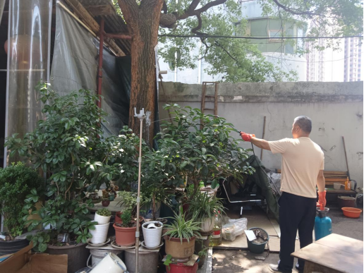 安樂社區(qū)黨員化身“除蟻衛(wèi)士”筑牢美好小區(qū)幸福防線