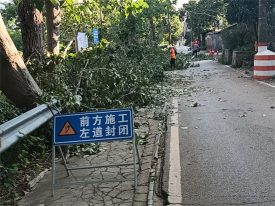 橫街社區(qū)快速處置倒伏大樹解民憂