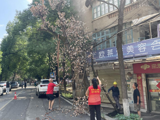 江濱社區(qū)“三長(zhǎng)”修剪樹木守護(hù)居民安全