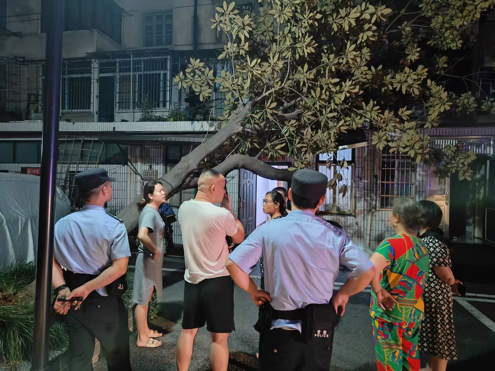 長城社區(qū)迅速處置樹木倒伏 守護(hù)居民“頭頂上的安全”
