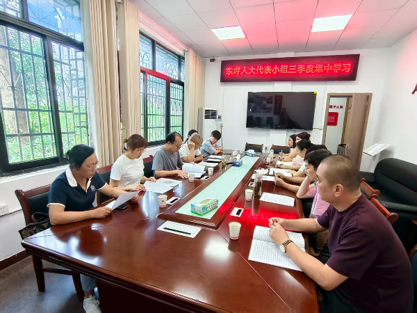 人大東坪街道工委組織開展三季度集中學(xué)習(xí)暨“法治護(hù)企”專題調(diào)研活動(dòng)