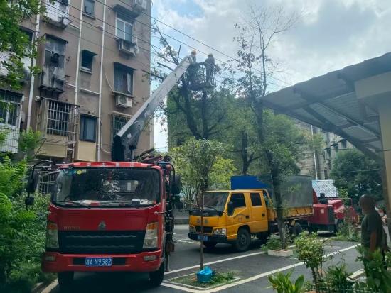 岳塘岭社区：惠民项目暖民心 枝叶小事解民忧