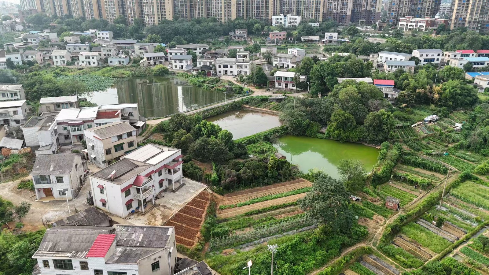 板塘街道：“三維發(fā)力”織密秸稈禁燒防護網(wǎng)