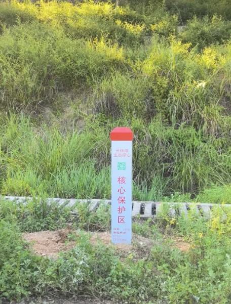 岳塘區(qū)503處生態(tài)綠心保護標志“上崗”