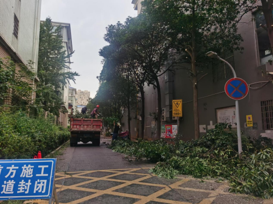 我愛湘潭我的家丨長塘社區(qū)：修剪樹枝除隱患 人大代表獻(xiàn)力量