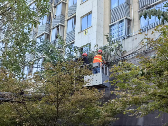 牡丹社区联动区环卫中心解民忧 清理塑四小区护坡大树护安全