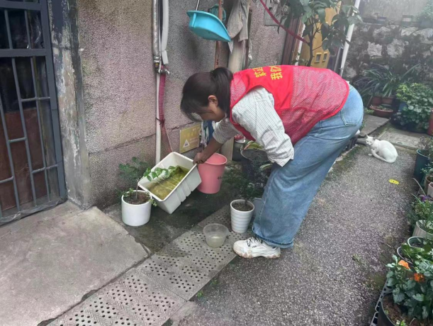 板塘社區(qū)開展秋季病媒生物防制工作