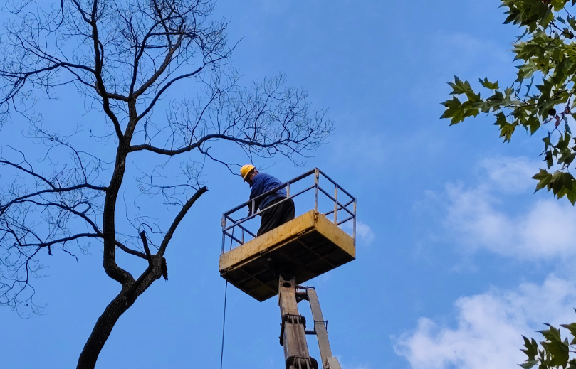 新塘社区：依托“第一应急响应人”机制除隐患护平安