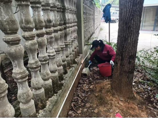 阳塘村“三聚焦”推进除“四害”专项行动