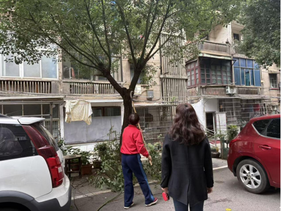 安乐社区：党员带头修树枝 志愿服务暖民心