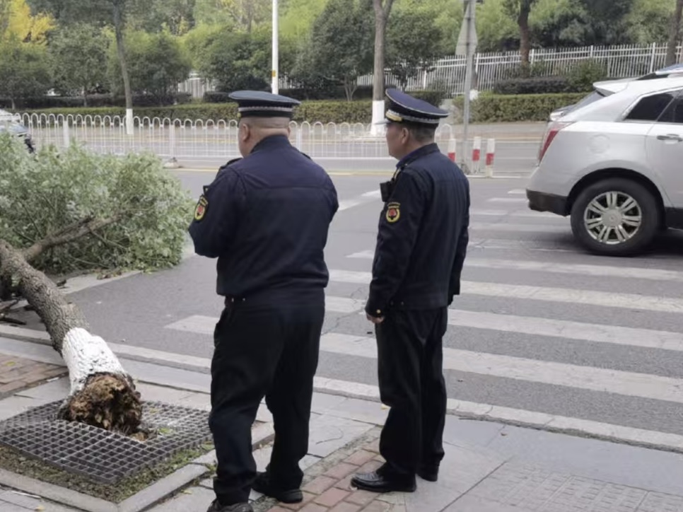 岳塘城管：迅速处置一处道路安全隐患