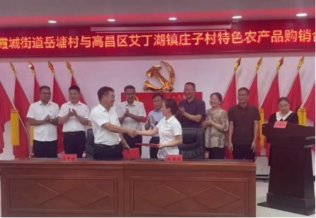 霞城街道：湘吐同心铺就致富路 党建引领结出“共富果”