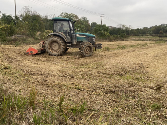 板塘街道：秸秆还田 变身“绿色财富”