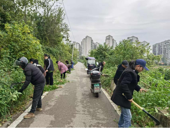 阳塘村乡村公益性岗位“扮靓”家园  助力人居环境整治显成效