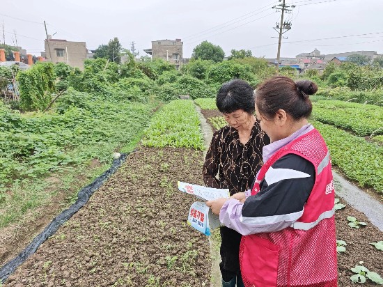 东坪街道：“三亮三联三带”激发乡村治理新活力