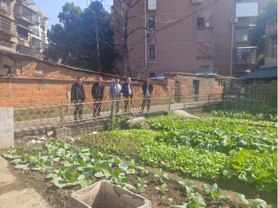 霞城街道人大代表小组开展“法治护绿行”蓝天保卫视察活动