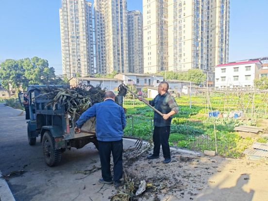 岳塘村公益性岗位显担当 秸秆清理焕新颜
