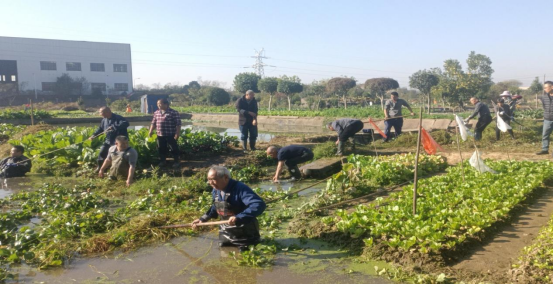 下攝司村：干群同心清淤疏浚 改善灌溉惠民生