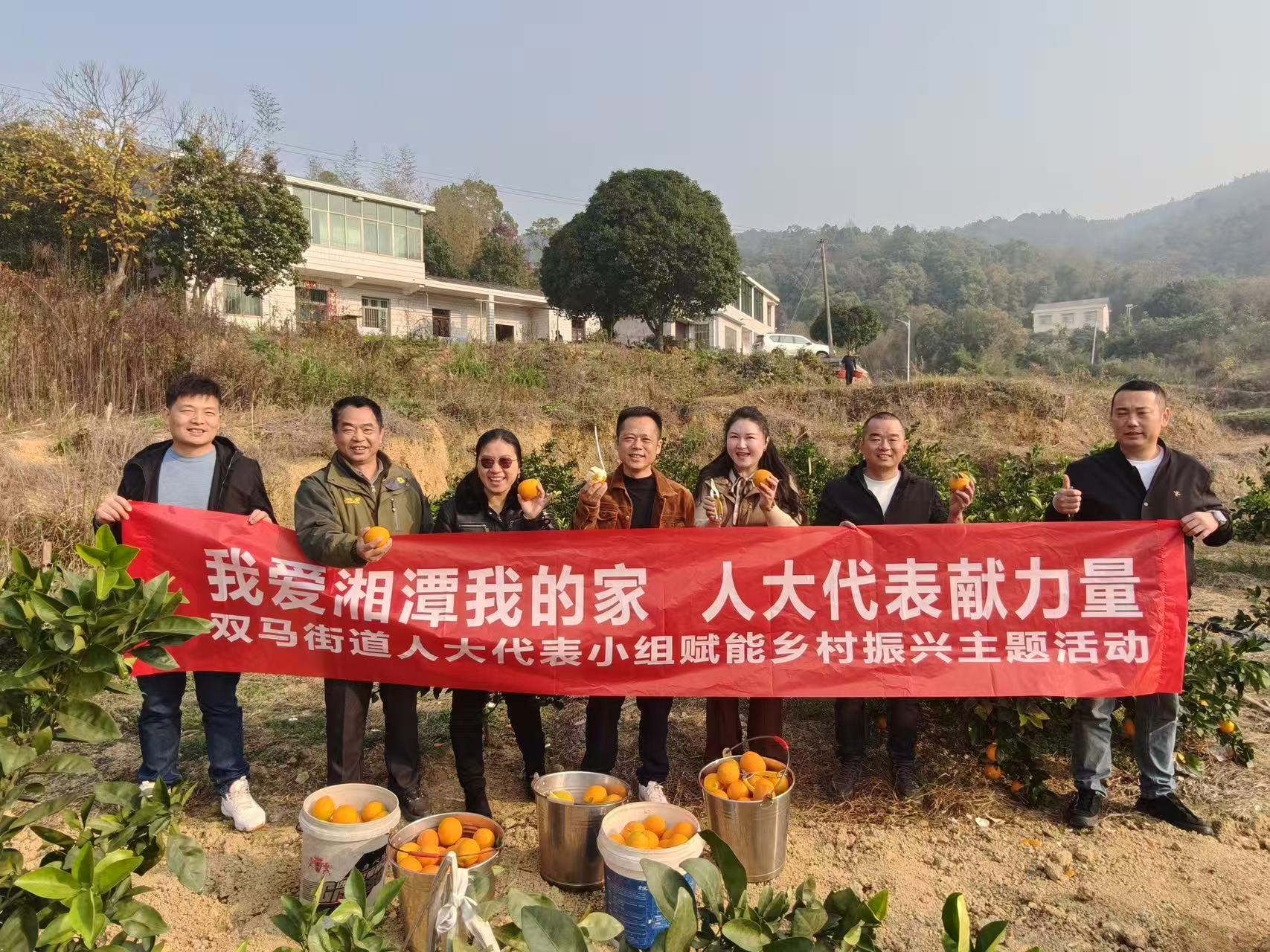 雙馬街道：代表一線解“橙”憂  傾心助農(nóng)促振興