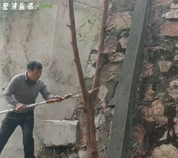 三角坪社區(qū)：物業(yè)齊行動 小區(qū)煥新顏