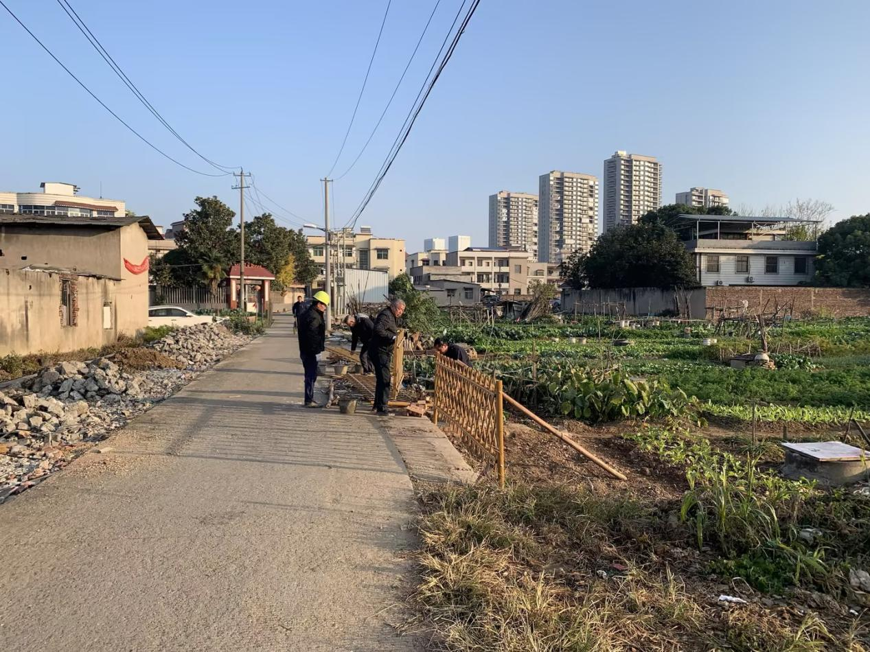 岳塘村菜地整治項目順利推進