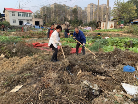 霞城村秸稈拖運(yùn)促雙贏