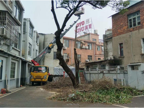 板塘社區(qū)：“一核兩管三治”護(hù)平安 修剪樹枝除隱患