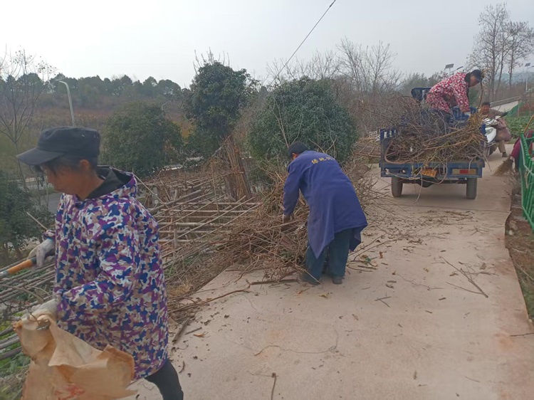 昭山镇高峰村：扎实开展人居环境整治行动 干干净净迎新春