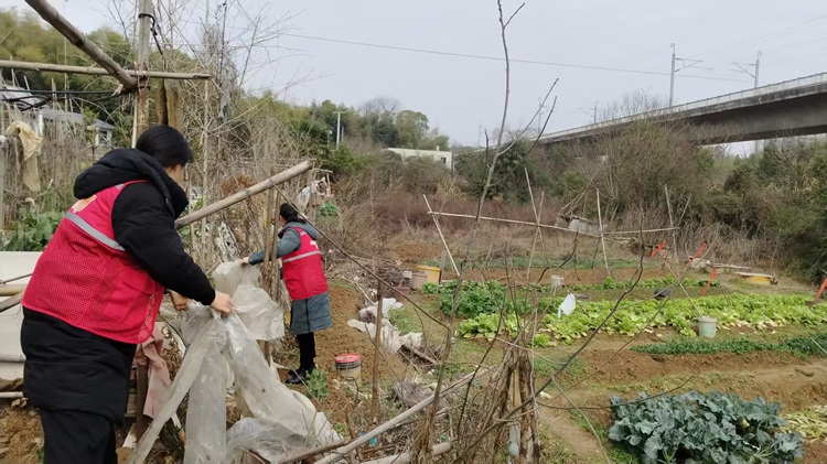 昭山鎮(zhèn)路口社區(qū)：以“繡花功夫”守護(hù)城際鐵路“空中安全線”